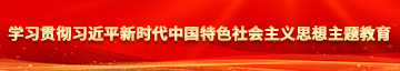 超骚美女被操学习贯彻习近平新时代中国特色社会主义思想主题教育